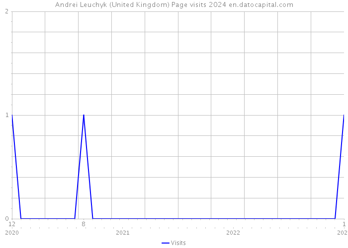 Andrei Leuchyk (United Kingdom) Page visits 2024 