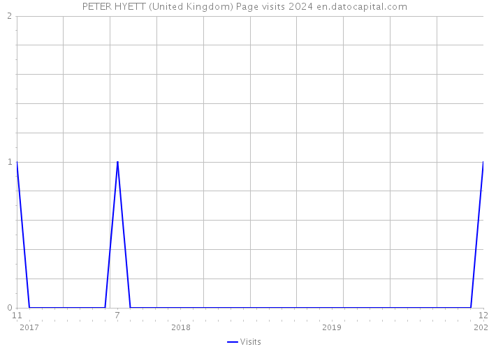 PETER HYETT (United Kingdom) Page visits 2024 