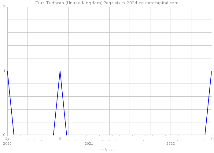 Tuta Tudoran (United Kingdom) Page visits 2024 