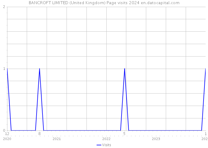 BANCROFT LIMITED (United Kingdom) Page visits 2024 