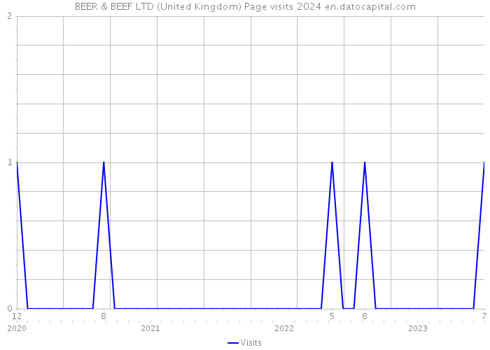 BEER & BEEF LTD (United Kingdom) Page visits 2024 