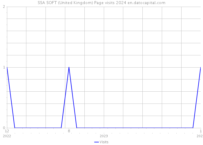 SSA SOFT (United Kingdom) Page visits 2024 