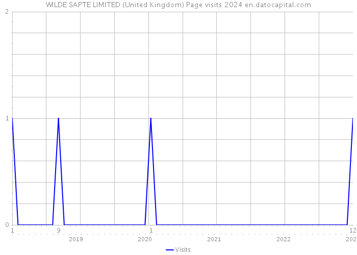 WILDE SAPTE LIMITED (United Kingdom) Page visits 2024 