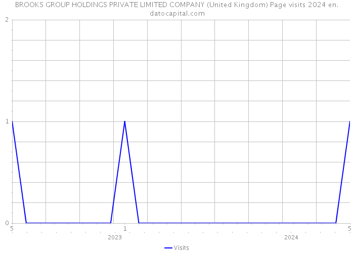 BROOKS GROUP HOLDINGS PRIVATE LIMITED COMPANY (United Kingdom) Page visits 2024 