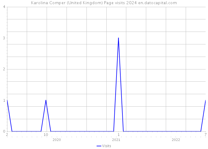 Karolina Comper (United Kingdom) Page visits 2024 