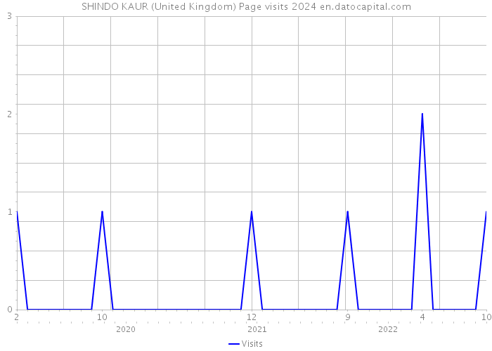 SHINDO KAUR (United Kingdom) Page visits 2024 