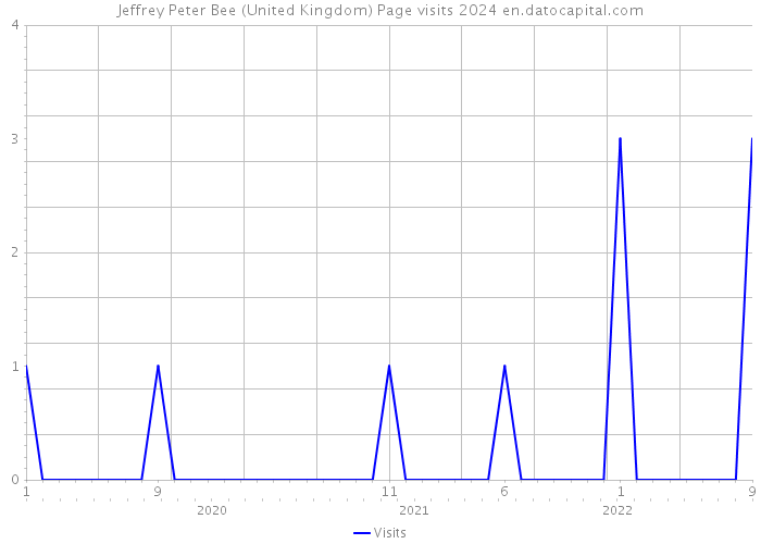 Jeffrey Peter Bee (United Kingdom) Page visits 2024 