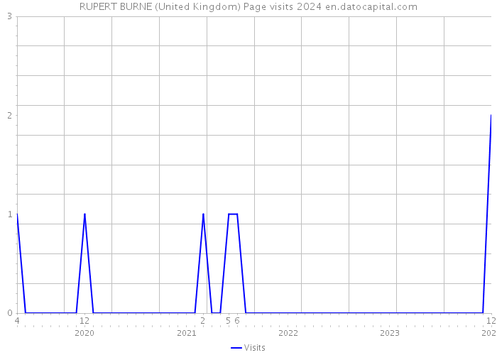 RUPERT BURNE (United Kingdom) Page visits 2024 