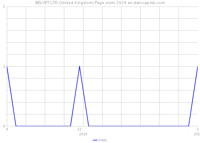 BELVET LTD (United Kingdom) Page visits 2024 