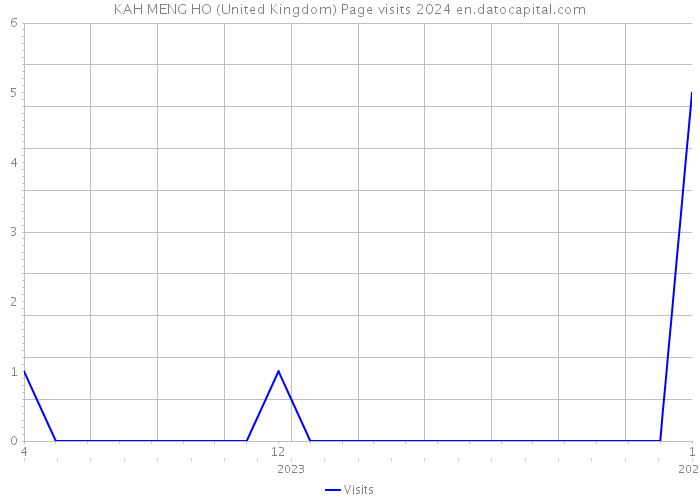 KAH MENG HO (United Kingdom) Page visits 2024 