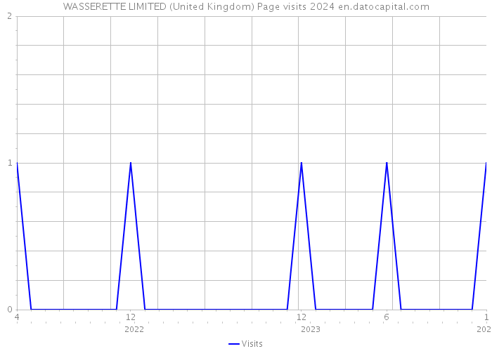 WASSERETTE LIMITED (United Kingdom) Page visits 2024 
