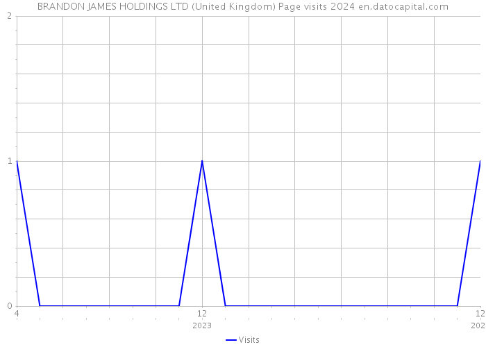 BRANDON JAMES HOLDINGS LTD (United Kingdom) Page visits 2024 