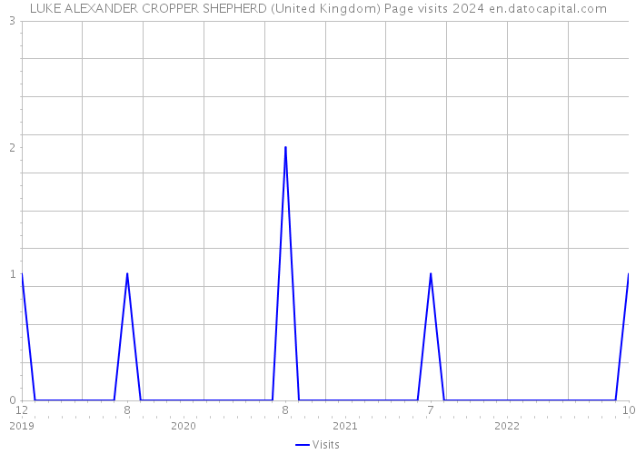 LUKE ALEXANDER CROPPER SHEPHERD (United Kingdom) Page visits 2024 