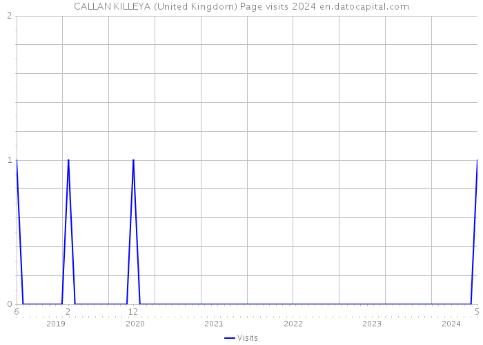 CALLAN KILLEYA (United Kingdom) Page visits 2024 