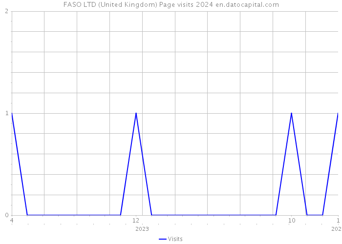 FASO LTD (United Kingdom) Page visits 2024 