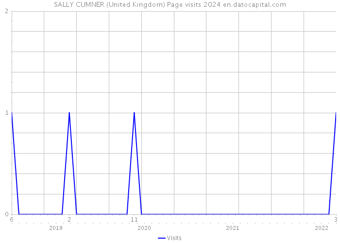SALLY CUMNER (United Kingdom) Page visits 2024 
