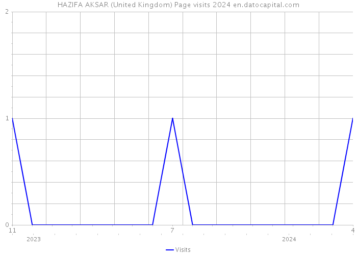HAZIFA AKSAR (United Kingdom) Page visits 2024 