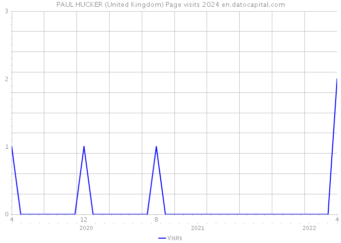 PAUL HUCKER (United Kingdom) Page visits 2024 