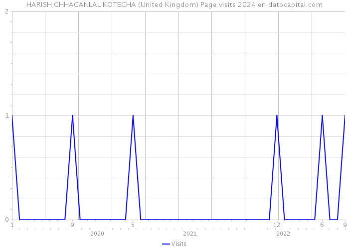 HARISH CHHAGANLAL KOTECHA (United Kingdom) Page visits 2024 