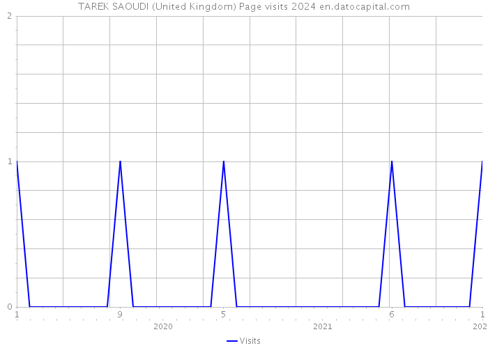 TAREK SAOUDI (United Kingdom) Page visits 2024 