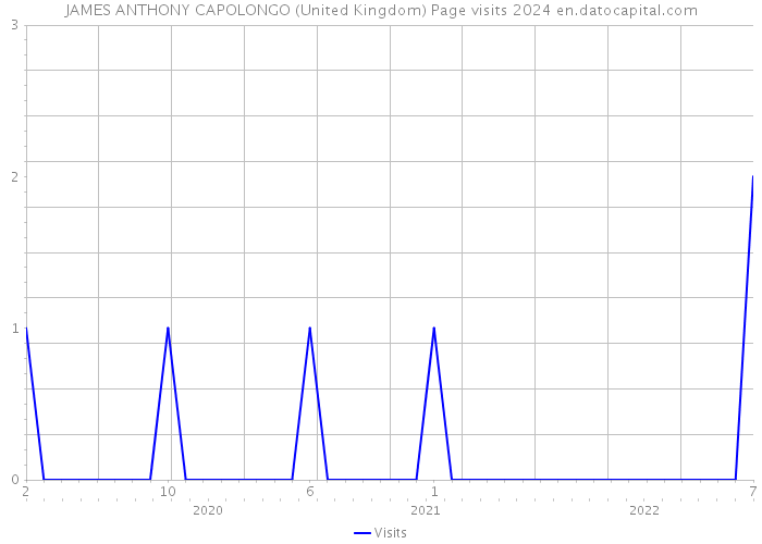 JAMES ANTHONY CAPOLONGO (United Kingdom) Page visits 2024 