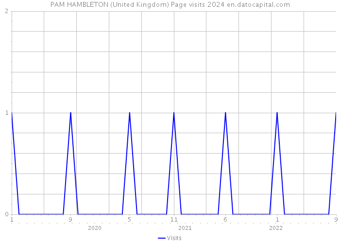 PAM HAMBLETON (United Kingdom) Page visits 2024 