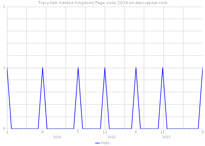 Tracy Ilett (United Kingdom) Page visits 2024 