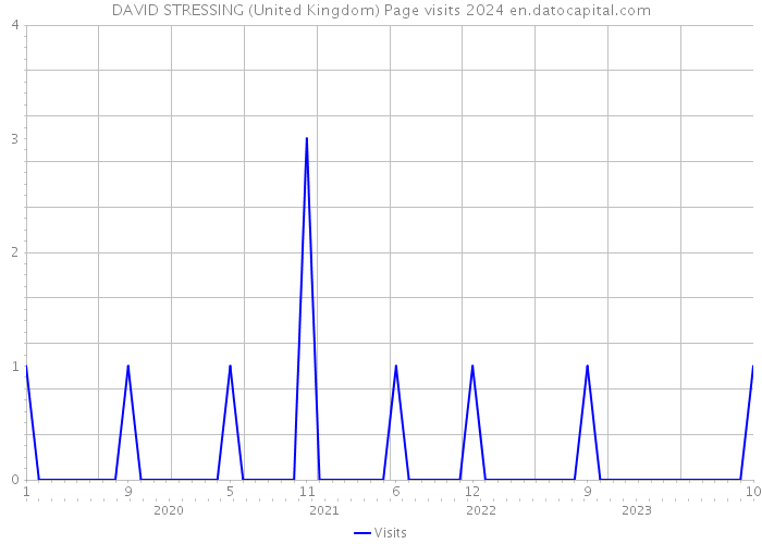 DAVID STRESSING (United Kingdom) Page visits 2024 
