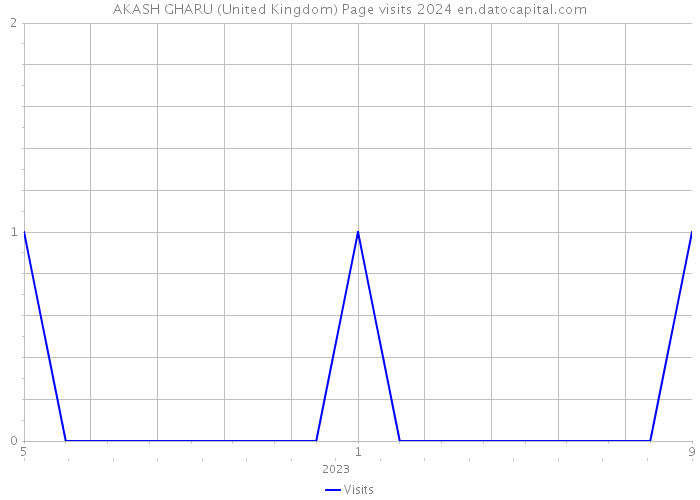 AKASH GHARU (United Kingdom) Page visits 2024 