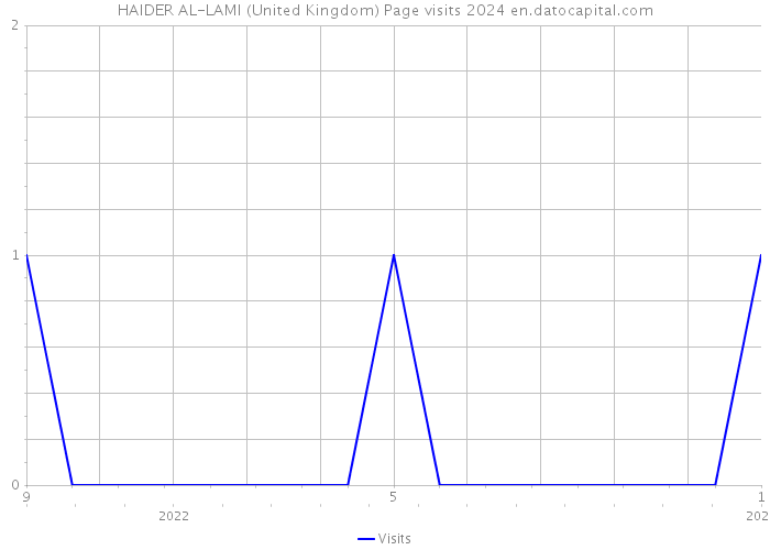 HAIDER AL-LAMI (United Kingdom) Page visits 2024 