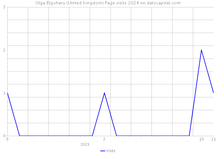 Olga Elgohary (United Kingdom) Page visits 2024 