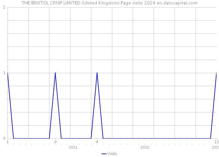 THE BRISTOL CRISP LIMITED (United Kingdom) Page visits 2024 