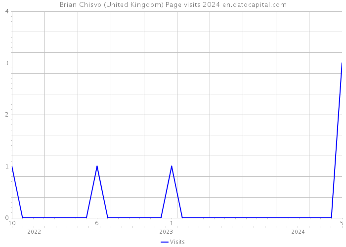 Brian Chisvo (United Kingdom) Page visits 2024 