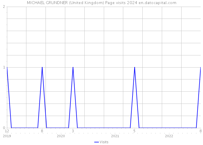 MICHAEL GRUNDNER (United Kingdom) Page visits 2024 