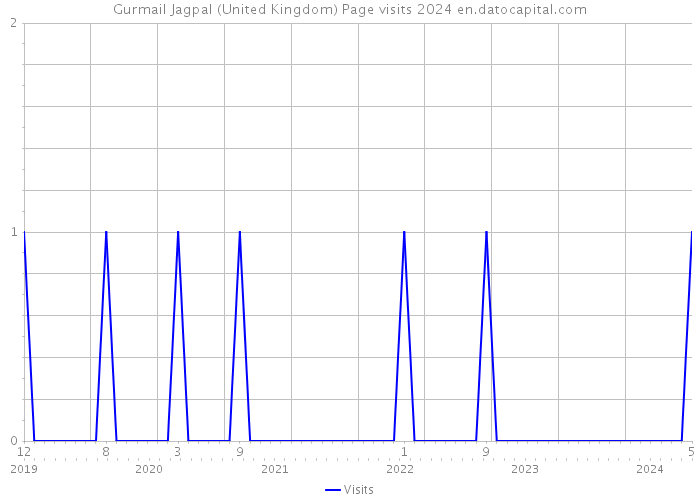 Gurmail Jagpal (United Kingdom) Page visits 2024 