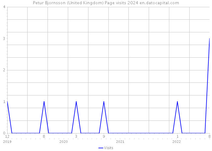 Petur Bjornsson (United Kingdom) Page visits 2024 
