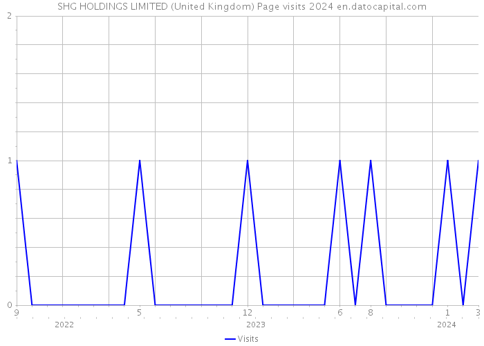SHG HOLDINGS LIMITED (United Kingdom) Page visits 2024 