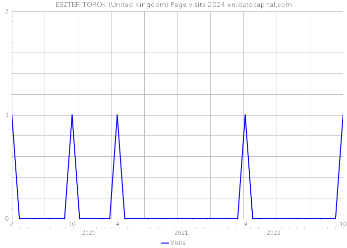 ESZTER TOROK (United Kingdom) Page visits 2024 