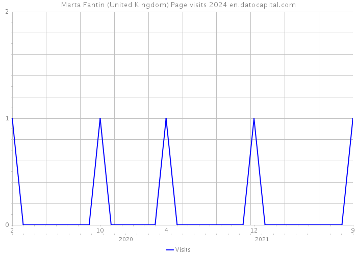 Marta Fantin (United Kingdom) Page visits 2024 