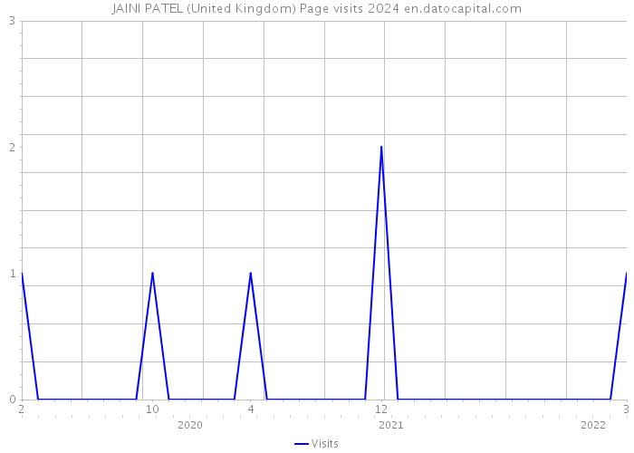 JAINI PATEL (United Kingdom) Page visits 2024 