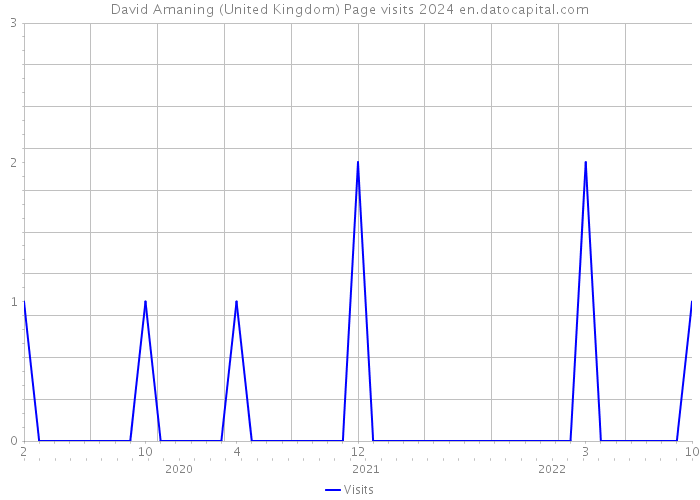 David Amaning (United Kingdom) Page visits 2024 