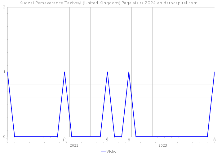 Kudzai Perseverance Taziveyi (United Kingdom) Page visits 2024 