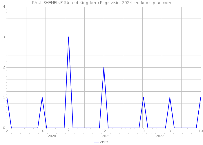 PAUL SHENFINE (United Kingdom) Page visits 2024 
