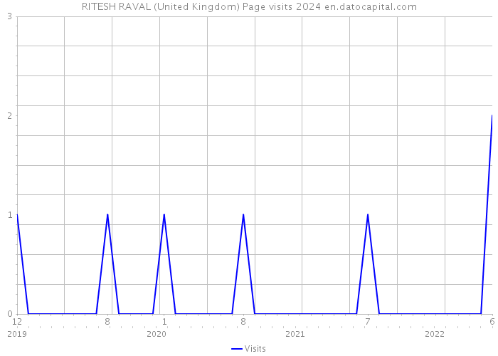 RITESH RAVAL (United Kingdom) Page visits 2024 