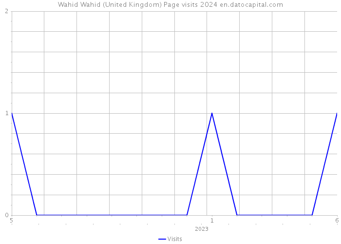 Wahid Wahid (United Kingdom) Page visits 2024 