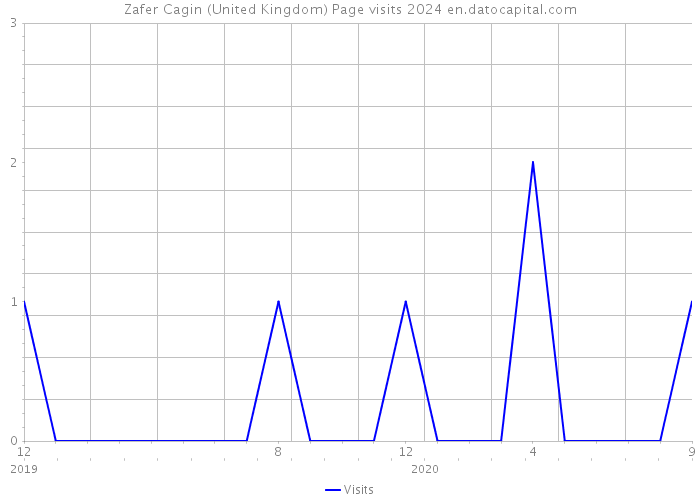 Zafer Cagin (United Kingdom) Page visits 2024 
