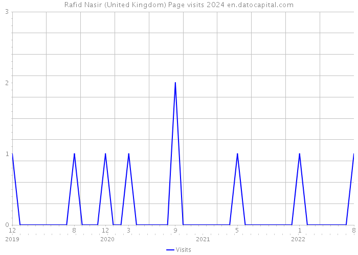 Rafid Nasir (United Kingdom) Page visits 2024 