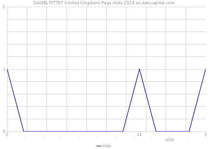 DANIEL PITTET (United Kingdom) Page visits 2024 