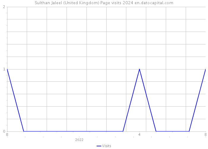 Sulthan Jaleel (United Kingdom) Page visits 2024 