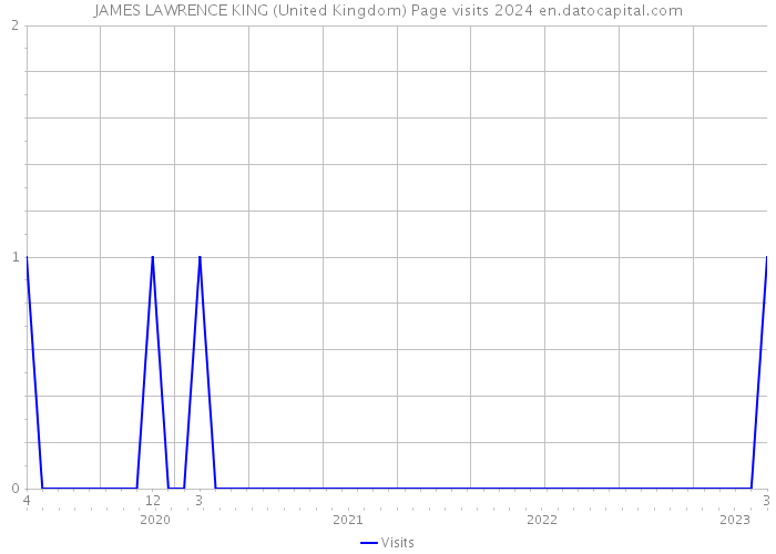 JAMES LAWRENCE KING (United Kingdom) Page visits 2024 